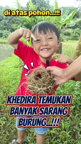 Banyak sarang burung #fypシ #fyp 
