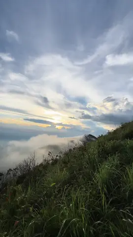 คุณต้องสัมผัสด้วยตาตัวเองสักครั้ง ⛰️☁️ #เขาหลวงสุโขทัย #ยอดเขาพระแม่ย่า #สุโขทัย #เดินป่า #ผู้หญิง 