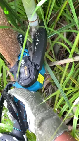 This mini chainsaw cuts like butter! #powertools #tools #saw #minichainsaw #chainsaw #Outdoors #yardwork #Summer #dealsforyoudays  #clean #cleaning #saker #tiktokshopdealsforyoudays 