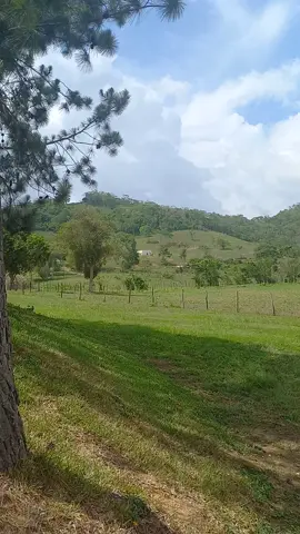Nuestra naturaleza es perfecta 🥰 #santacruz #venezuela #falcon #popotal 