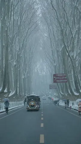 Em sẽ đến ngày tuyết đầu mùa rơi #dulichtrungquoc #dulich #trungquoctravel #chinavivu #namkinh 