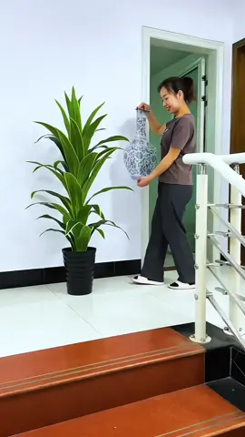 Decal dán tường trang trí phòng khách , trang trí phòng ngủ #dogiadung #giaydantuong #trangtrinhacua #tienichcuocsong #viralvideo 