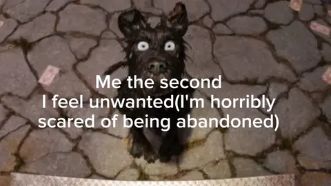 I hate it. I hate being possessive and I hate feeling jealous all the time. I want to stop. #isleofdogs #mitski #jealousyissues #vent #fypシ゚viral #fyp 