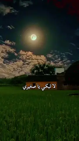 #fyp #foryou #fypシ #foryourpage #fypシ゚viral🖤tiktok☆♡🦋myvideo🤗foryou #لاتبكي__ياصغيري# 