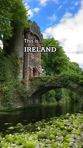 Game of Thrones Land.  #gameofthrones #ireland🇨🇮 #irelandtravel 