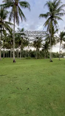 Yuk bisa yuk#driverorangasing #lampungkruipesisirbarattravelkrui #lampungkruipesisirbarattravelkruipadahriini #jalnakar_mh21sachinpatil #JelajahLiburan 