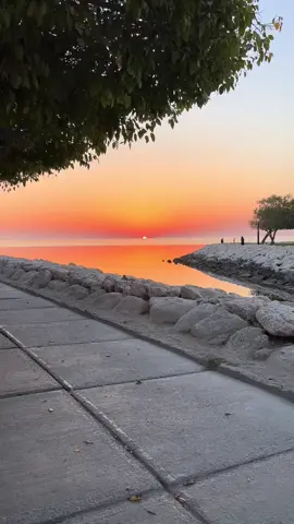 شروق الخبر🩶.                           #ضيدان_بن_قضعان #شعر #بحر #fyp #explore #مالي_خلق_احط_هاشتاقات #اكسبلور 