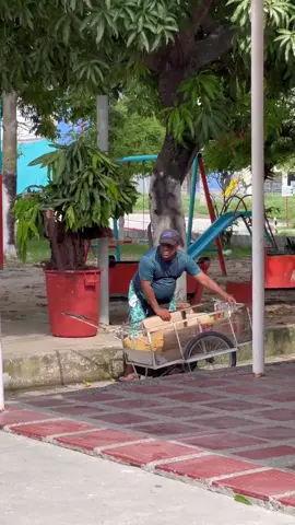 El árbol divertido#broma #funnyvideos #funny 