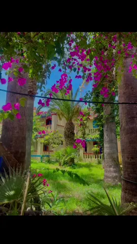 #malia                                      my girls💘