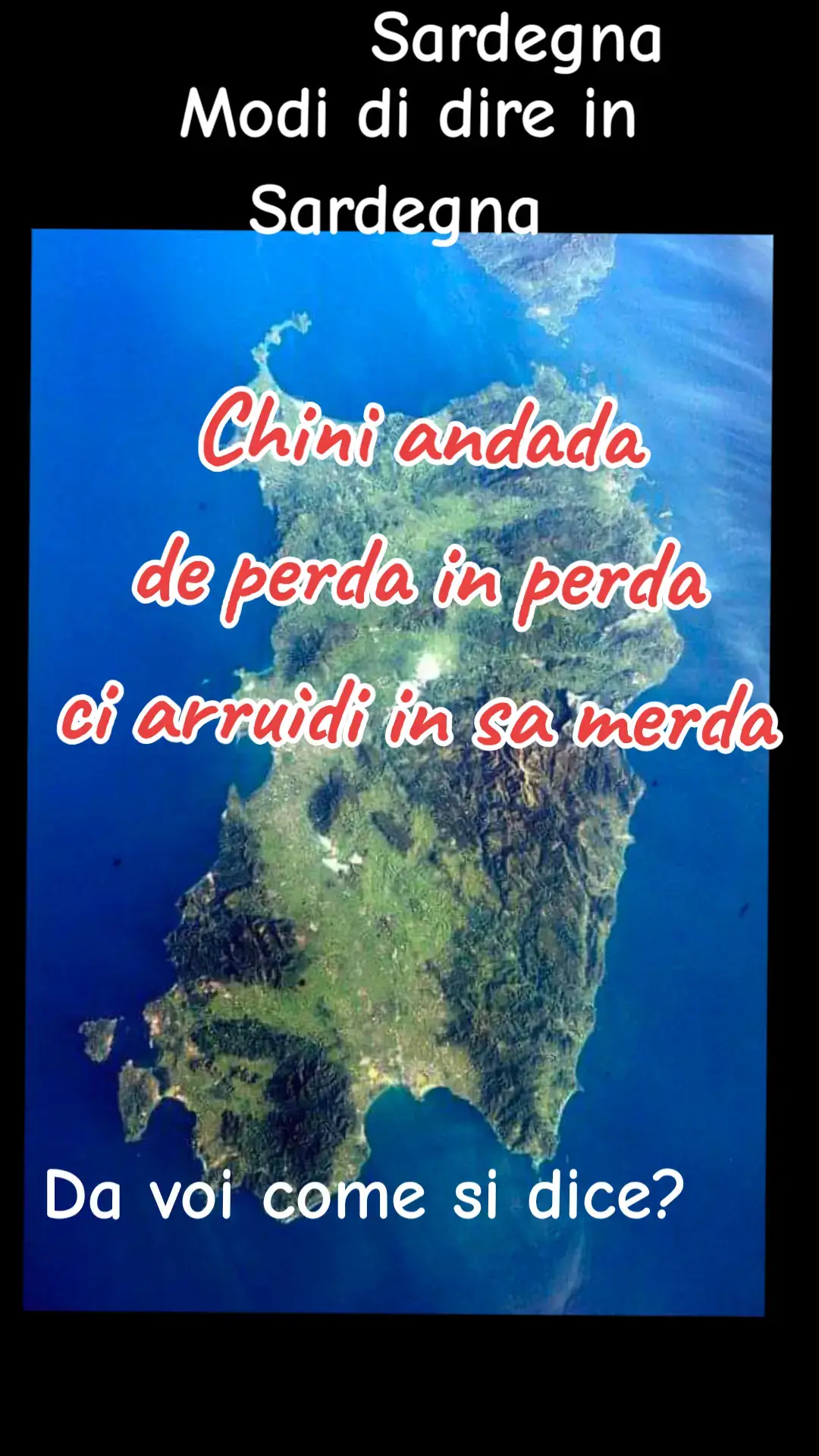 #modididire #modididiresardegna #dettipopolari #sardegna #sardegnatiktok #sardo #linguasarda #saxcog 