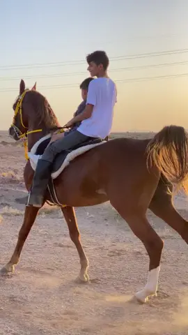 #فانز_محمد_الشمري @محمد الشمري 𓃗 ✪ #محمد_الشمري 