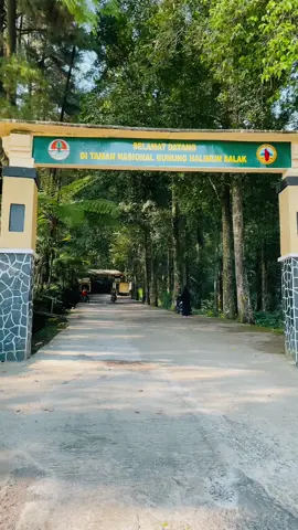 Byur🏊🏻‍♀️ . #curugbogor #curugpangeran #curugpangeranbogor #gunungbunder 