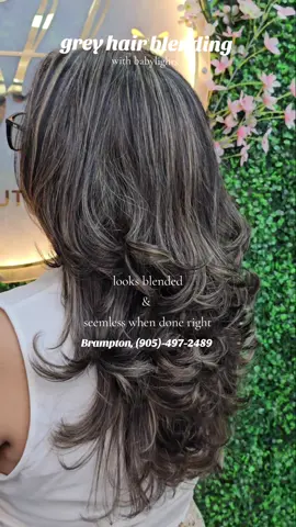 hide your greys with ash blonde babylights and make it less visible #thestyloria #styloria #fyp #foryoupage #karanaujla #babylights #greyhairsolution #greyhairblending #solutionforgreyhair #brampton🇨🇦 #bramptonhairsalon#ashblonde #blondebalayage #balayagebrampton  #bramptonsalonandspa #bestsalonbrampton #balayage #highlights #salonnearme #lotsoflayers #bouncyblowout @Wella Professionals 