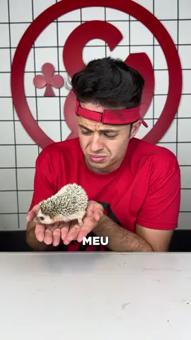 O Spike está doente 😢🦔