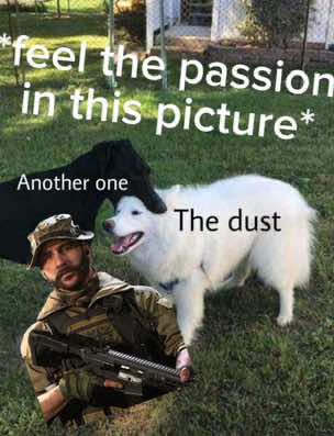 I never made anything this stressed before🥫 #cod #callofduty #mw #modernwarfare #codprice #johnprice #codvoicelines 