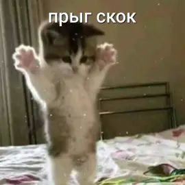 #🎀 #песня #котики #рекомендации #любовь❤ #врек #крутаяпесня #эщкере
