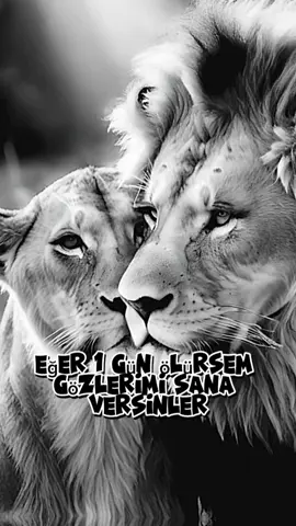 #king #keşfet #aşk #yüreğim #dünyamsensin❤️💫 