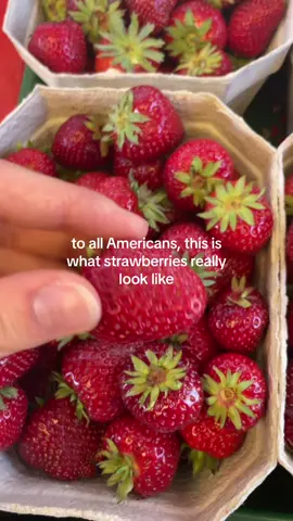 #strawberry #fruit #amerika #amerikan #CapCut #foryou #viral #trend #karls #erdbeeren #sommer #real 