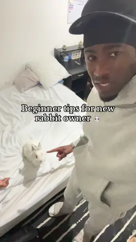 I’ll do a part 2 if needs be 🐰