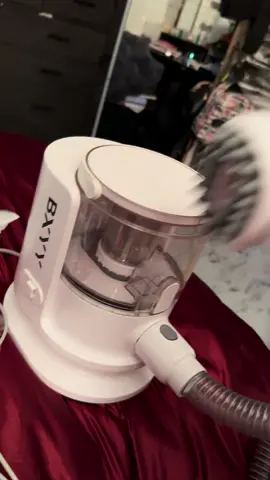 #petvacuum #bxyypetvacuum #fypage 