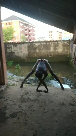 dancing spider#dancingspider #spidermeme #funny #fyp #viral #skinnyflexi