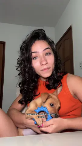 ser pais de pet é assim: