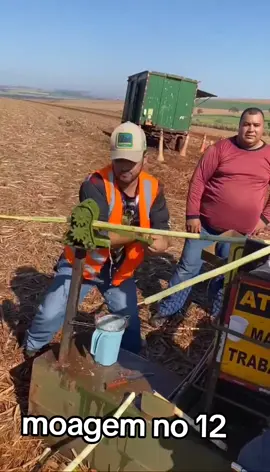 #agrorotina®️🚜🌱 #canavieiro #cananocaixote 