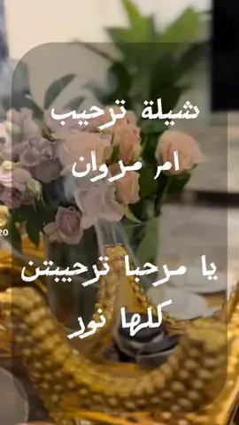 #شيلة ترحيب حماسيه#يا مرحبا ترحيبتن كلها نور#شيلات حماسيه رقص#شيلة ترحيبيه ام مروان#شيلات ترحيب باسم ام مروان جديد 