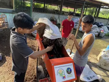 Waste Management Practice: Composting is one way of recycling ♻️ waste materials (animal 💩 and plant 🍃waste) to create a compost or solid organic fertilizer. The compost bed at the Department of Soil Science-College of Agriculture, Central Luzon State University is treated with the formulated 🧫 compost activator or biodecomposer to fasten the decomposition process and incorporate beneficial microorganism. #fyp #agricoolture #agriculture #farming #studentactivitytiktok 
