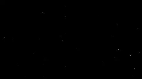 E se meu cachorrinho não tivesse sido atropelado... #viral #fy #fivenightsatfreddys #fnaf #animatronicsedits #CapCut #edit #almasfnaf #fnafedit 