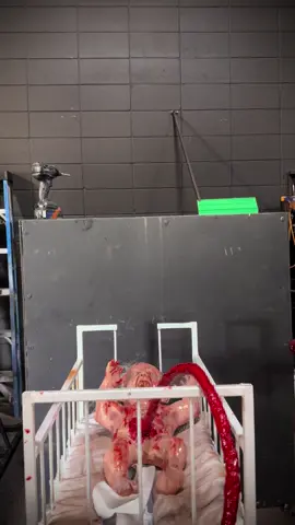 Who woke the baby?! Demon Baby Crib by Poison Props