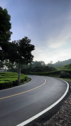 Rancabali Ciwidey Pagi ini “ Tirisss “ #ciwidey #bandung #longervideos 