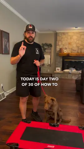 Day 2, Teaching place. Keep this in mind while you’re practicing. You should be doing this lesson two or three times a day over the next week, and keep your lessons right around 10 to 15 minutes long. There are what we call the 3 D’s in dog training, duration, distance, distractions. This first week, time is most important! I don’t care if you can’t get far away from your dog, yet, focus on spreading the time between the intermittent reward every lesson. As your dog gets more comfortable with the bed, you also want to start them a few feet further away from the bed so they can learn to go to it on command. Place is a two part command, go to AND stay! You don’t have to use any other words. Like we learned yesterday, it’s important to say the word without movement. Do not say place while walking towards the bed. Say the word clearly, pause for one second, and then guide your dog to the bed. When you are bringing your dog to the dog bed, try and stop before the front of it. You don’t want to have to walk past the entire bed, especially after the first lesson. Your dog should be doing more work than you do. The reason we use an elevated dog bed is so that your dog can’t lay halfway onto the floor and a half way onto their bed. The elevated dog bed makes it more black and white, making the learning process faster and much easier for you. The reason we’re not going to reward the release come in at the moment, it’s because your dog stinks at being still. We want to put a great amount of focus on holding the position and incentivize that the dog bed is the greatest place in the world, but coming off is semi-boring. 30 day goal, Your dog holds this command for 30 minutes. Let’s get to work.