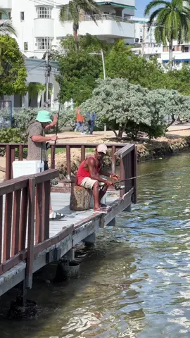 El pescador ferrer 😂 . #trend #papillente #papilla #copaamerica #lacasadelosfamosos #colombia🇨🇴 #viral 