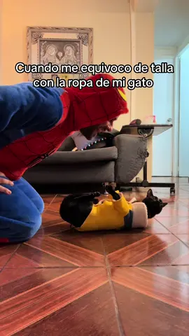 Mis gatos estan creciendo 🙃 #nickaelo 