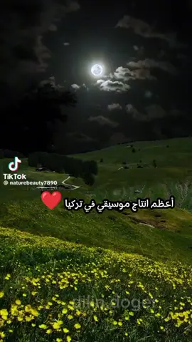 اسم الموسيقى Acı su تجنن ❤️🔥 #قيامة_ارطغرل #المؤسس_عثمان #aci_su #مسلسلات_تركية #موسيقى #music #muzik #حب #ترند #هوس #fyp #لك #صداقة #foryoupage #اكتئاب 