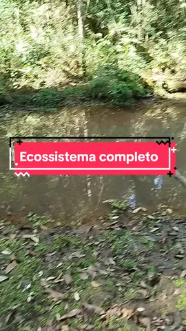 Descobri um lugar incrível durante o desafio de sobrevivência  #sobrevivencia #dicasdesobrevivencia #sobrevivencialismo 