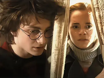 #harmione #harrypotter #hermionegranger 