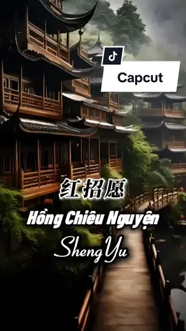 Hồng Chiêu Nguyện - 红招愿 #nhachaymoingay #盛宇shengyu #CapCut #xh #xuhuong 