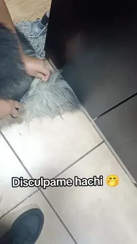 mi bebito siempre apoyando a su hermanito en las tareas jajajaja 🤭🐺🧒