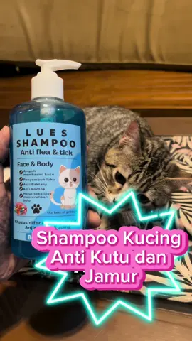Sampo kucing murah yang direkomendasikan dari Lues Shampoo #shampokucing #bismilahrame 