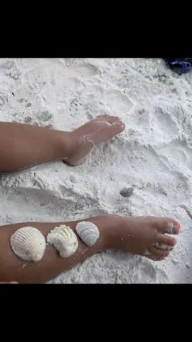 Little recap ☀️☀️ #fypシ゚viral #paratii #florida #sarasota #siestakey #Summer #vacation #beach #playa #familytime 