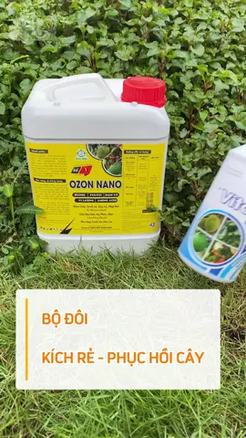 Bộ đoi kích rễ phục hồi cây #phanbon #kichre #Karimon #saurieng #durian #lamvuon #kythuatsaurieng #phanbonla #cayantrai 