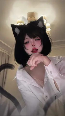 🐱 3 cats 🦈 1 shark  #bcm2000 #cosplay #cute #fyp #fypシ 