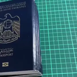 #france #belgique_bruxelles🇧🇪 #passeport #famill #docu #documents #voyageuse 