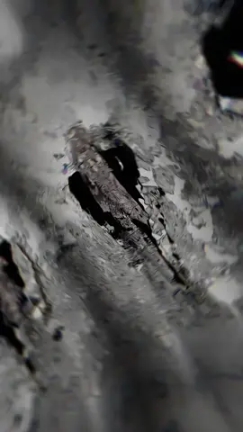 🫶🏻trai tóc vàng  #lookismwebtoon #lookism #kimjungoo #jungoo #xh 