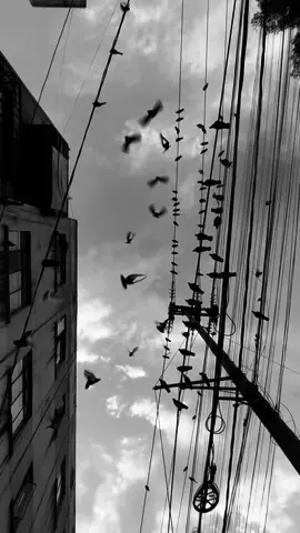 Dime que es mentira todo… 😕 #nachapop #luchadegigantes #amoresperros #rock #musicaenespañol #fyp #parati 