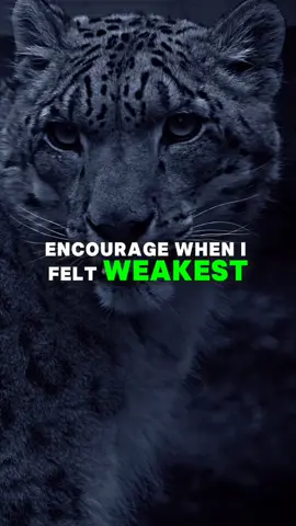 motivational video.....✍️   #englishquotes #mindset  #motivation #motivationalvideo #motivational_speaker #motivationalquote #motivational_videos_381 #motivationalvideos #motivationalclip #motivationalspeaker #motivationalspeech #growth #growmyaccount #pleaseunfreezmyaccunt🙏🏻  #motivationalquotes885