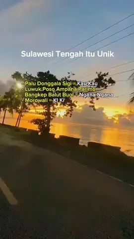 Logat logat di Sulteng #sulteng #logatsulawesi #bahasatimur #palu #luwukbanggai #poso #ampana #morowali #buol #parigimoutong #donggala #sigi #bangkep #balut #tolitoli #morowaliutara 