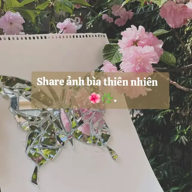 #share_avatar_xinh #xh #thiênnhiên 